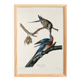 Poster about the Tourte voyageuse, based on an old engraving from 1827.