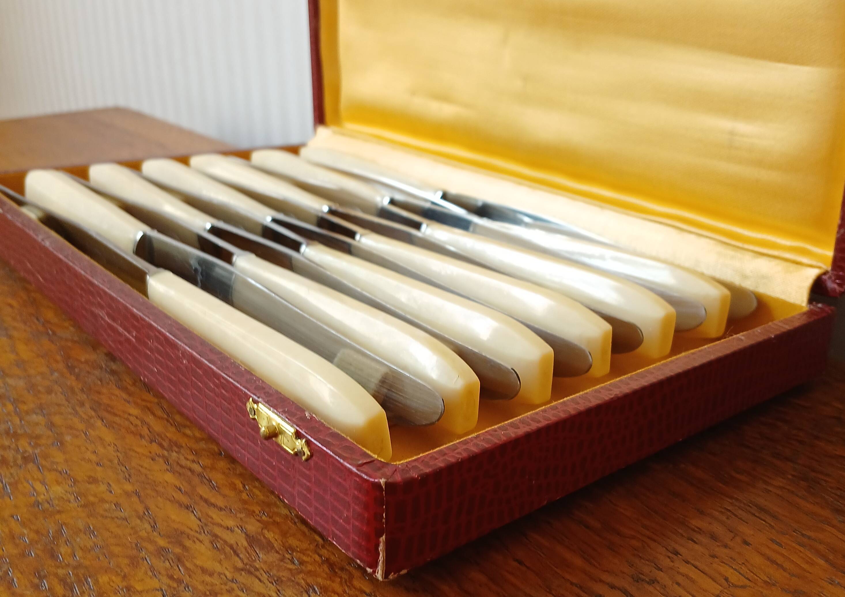 12 ivory & stainless steel bakelite knives in their case