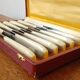 12 ivory & stainless steel bakelite knives in their case