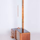 Restored ArtDeco Dressing Mirror, Palisandr, Walnut Root Veneer, France, 1920s