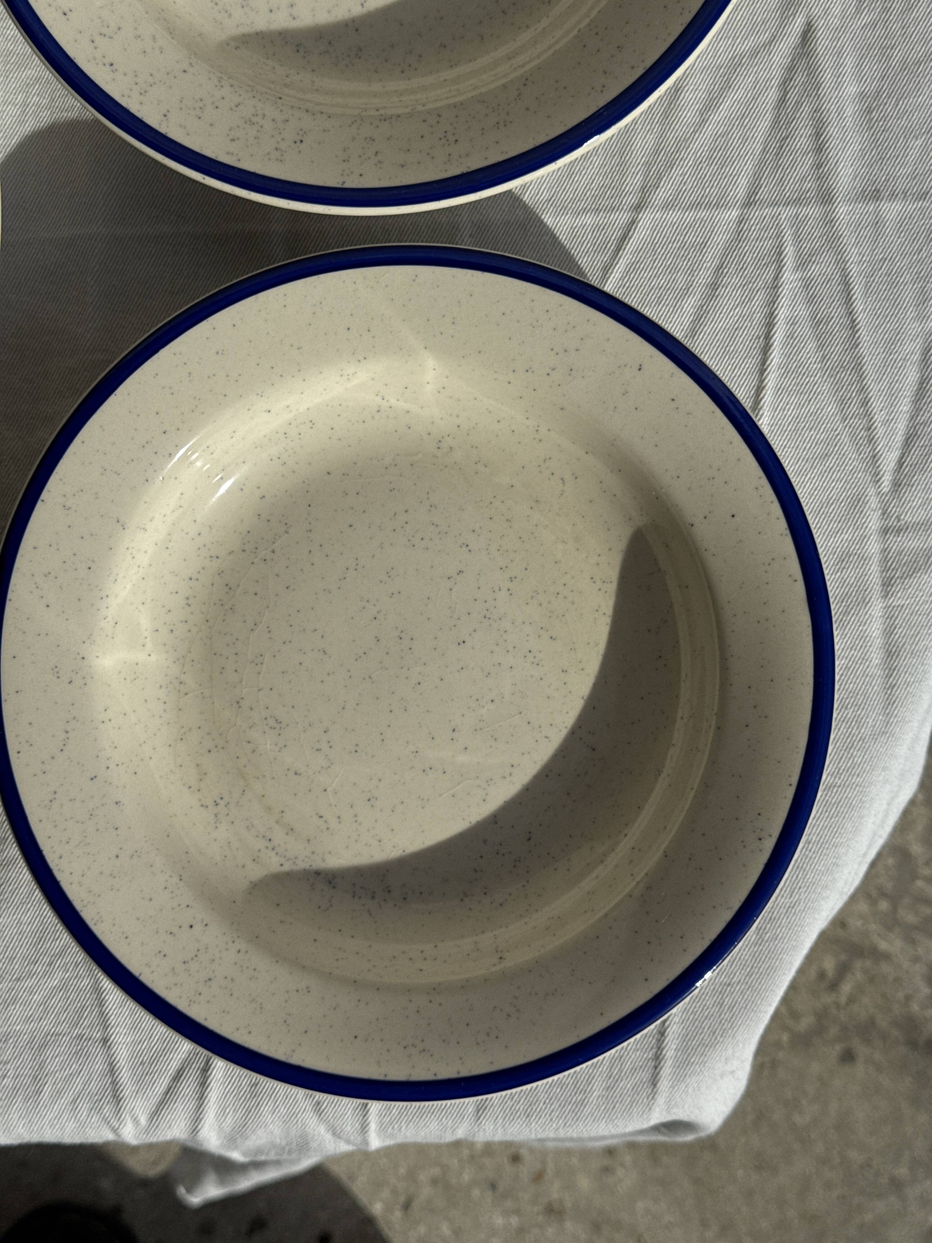 Set consisting of 6 beige flat plates with a blue rim + 3 deep plates.
