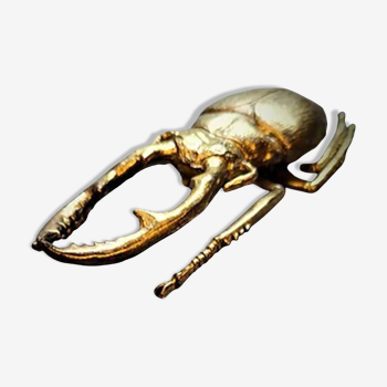 Bronze beetle
