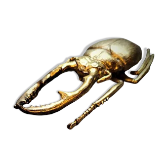 Bronze beetle