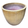 Large glazed ceramic flower pots – perfect for terrace or