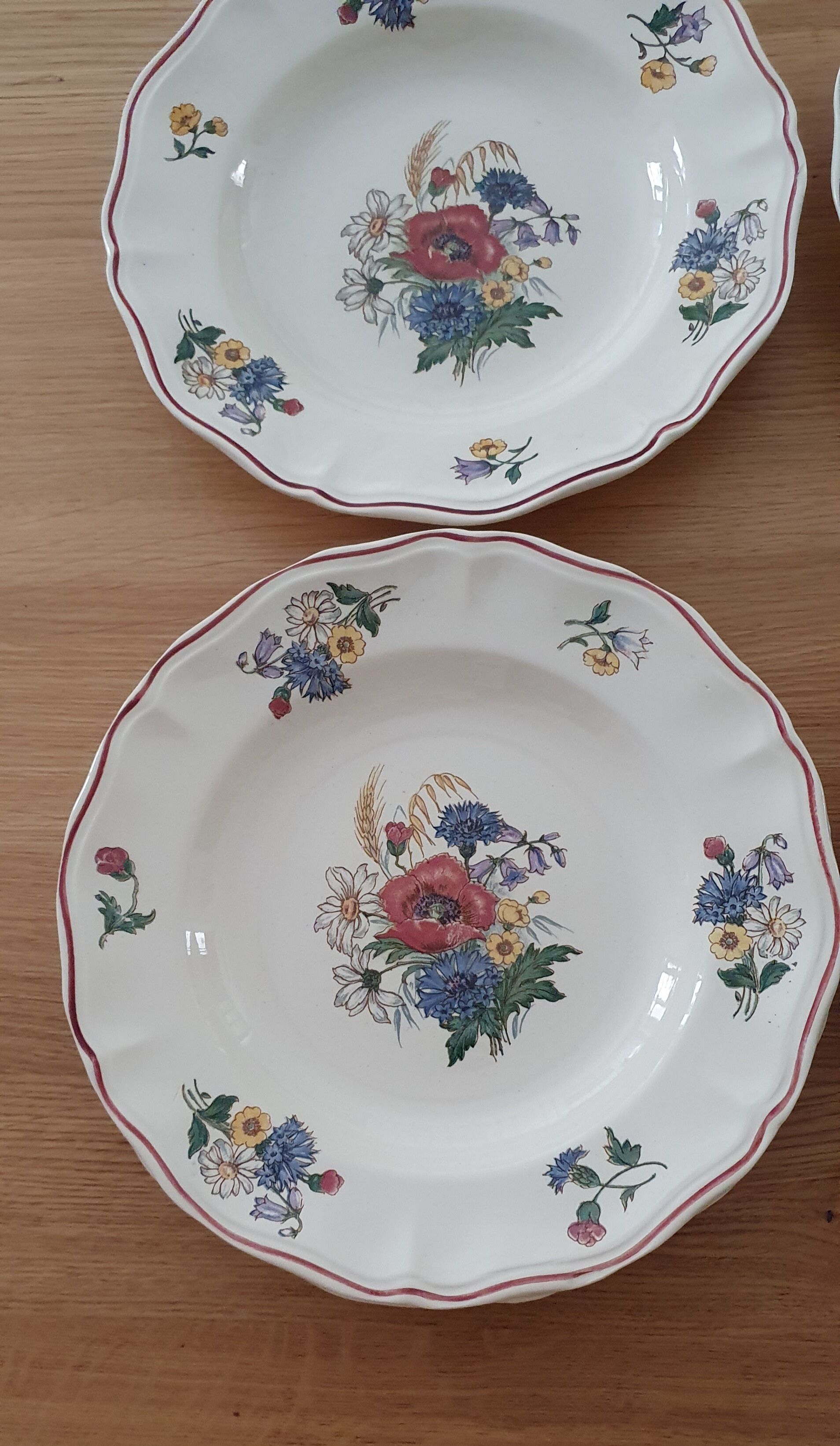Set of 6 Digoin hollow plates