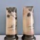 Pair of Legras 1900 enamelled glass vases