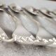 Set of 12 dessert forks and a cake server.