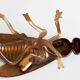 Ashtray fly brass vintage 1970