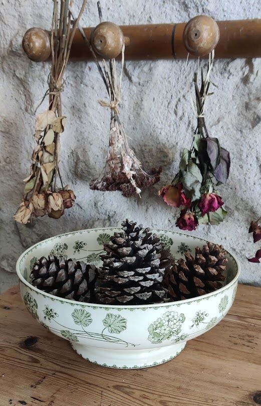 Bowl U-C Sarreguemines / Geranium