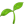 Choose green