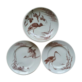 Volatile plates made of ancient earthenware