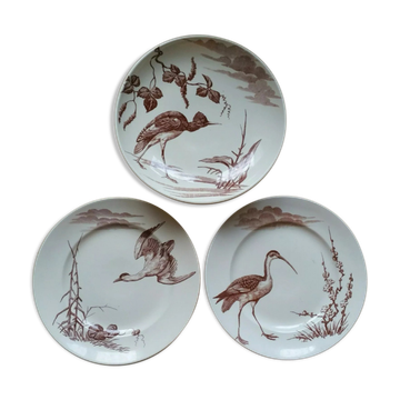Assiettes Volatiles en faïence ancienne