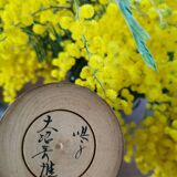 Ancient Kokeshi