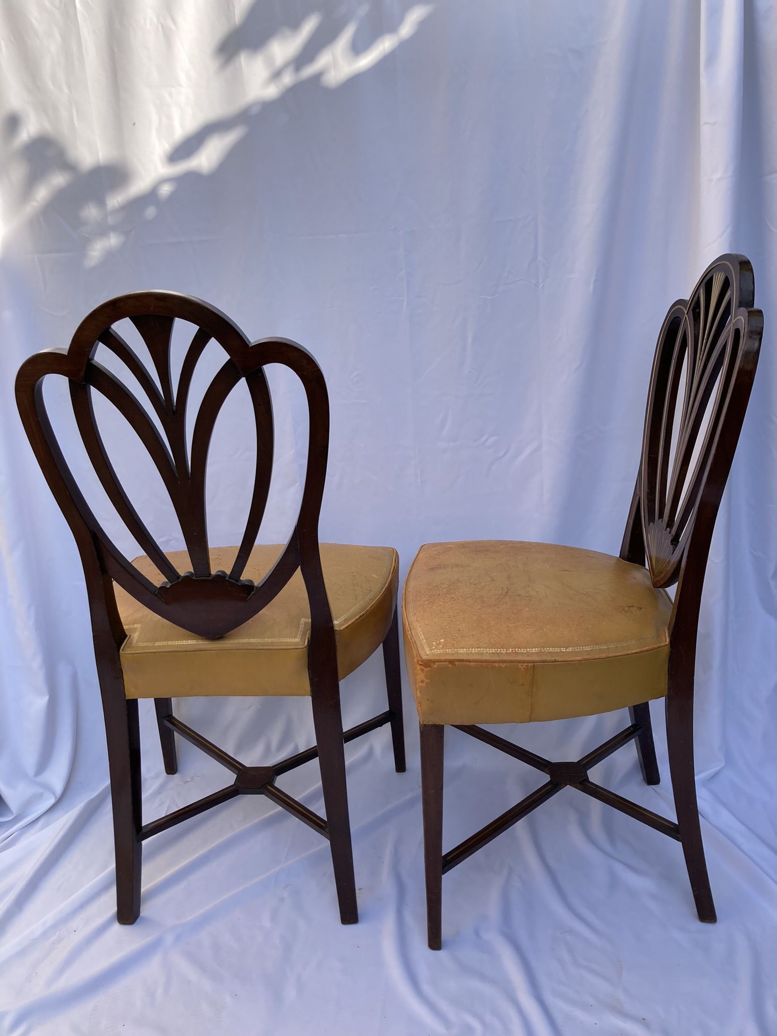 Series four English chairs Hepplewhite mahogany leather early twentieth century