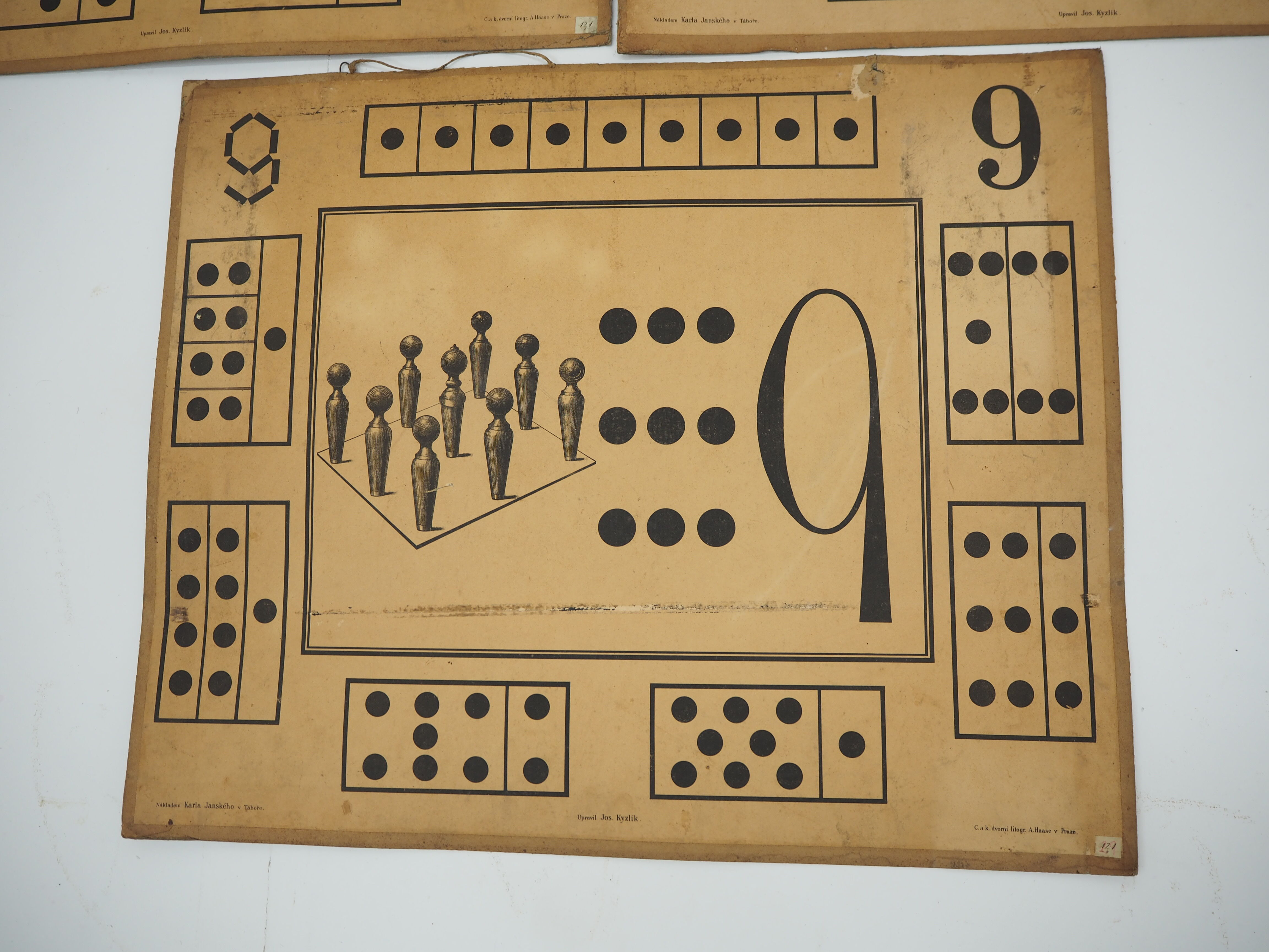 Set Of Nine Antique Teaching Posters from Litography A. Haase, Prague, 1900s