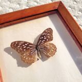 Painting with 3 butterflies