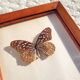 Painting with 3 butterflies