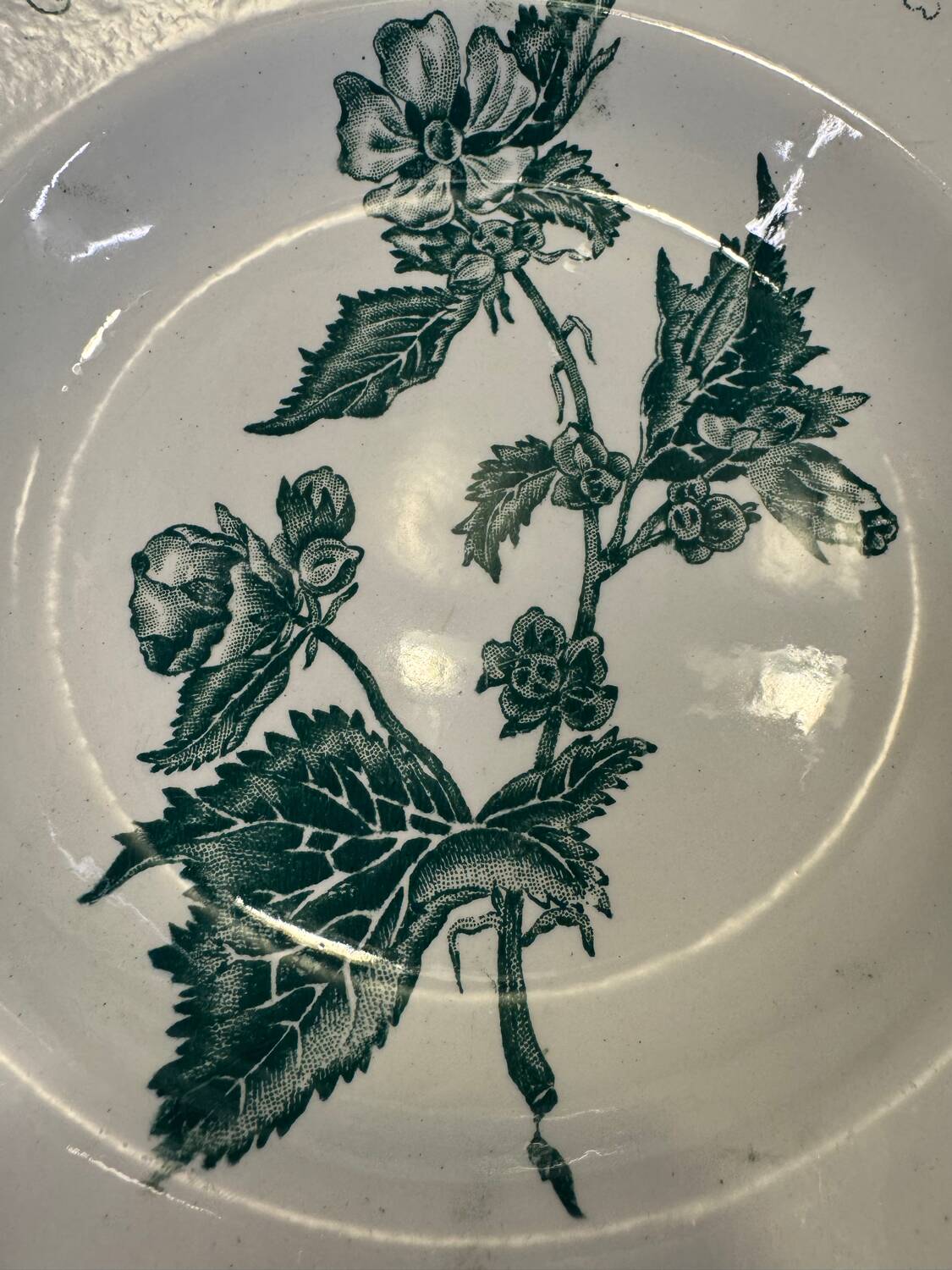 Set of 7 Terre de fer soup plates, green