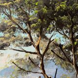 Villa by the seaside in Ramatuelle, oil on canvas signed Picard 1926.