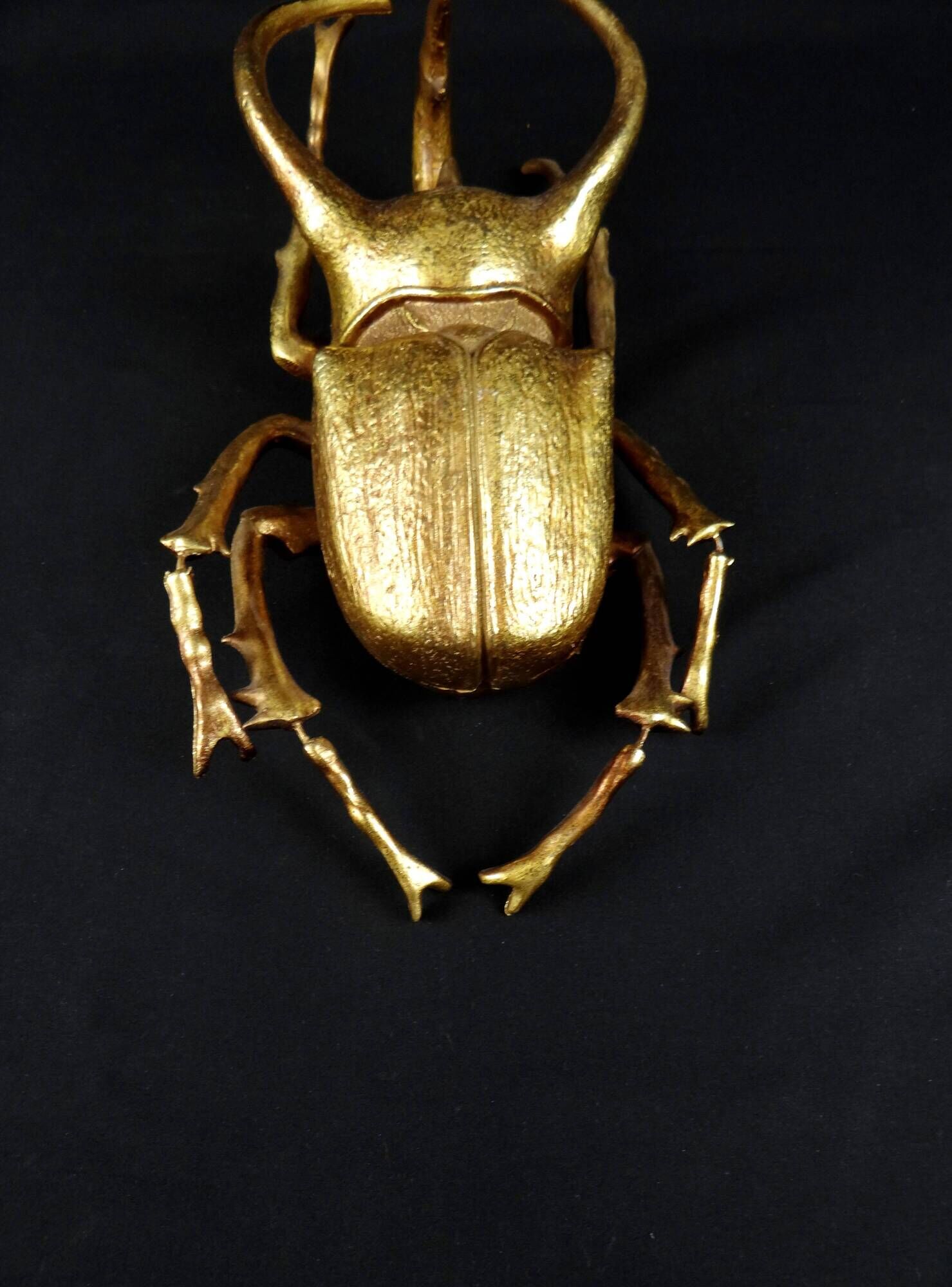Contemporary style golden scarab wall sculpture in resin and metal