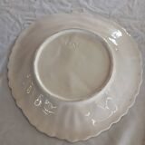 Flat slushie set and strawberry drainer