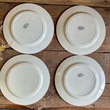 4 Nénuphar plates R & A Salins