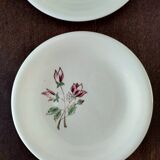 4 Salins dessert plates pink model Éric