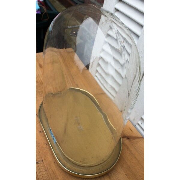 Oval glass globe 35.5 cm high