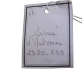 Decorative wall tapestry - Autumn Evening, Le Guen - Sunset