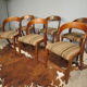 Lot de 6 chaises Baumann