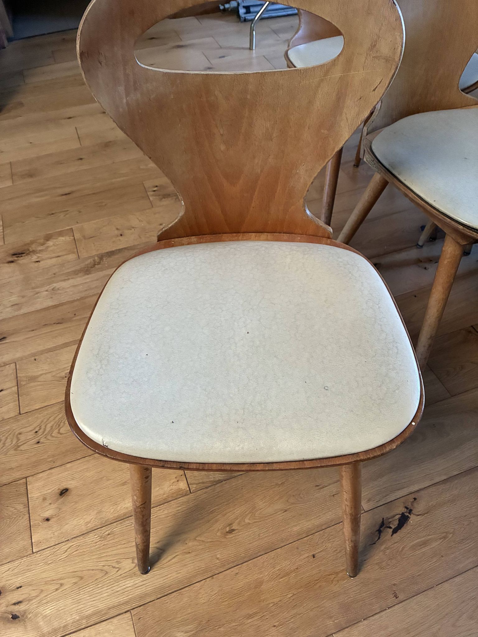 Lot of Baumann chairs model Ant.