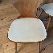 Lot of Baumann chairs model Ant.