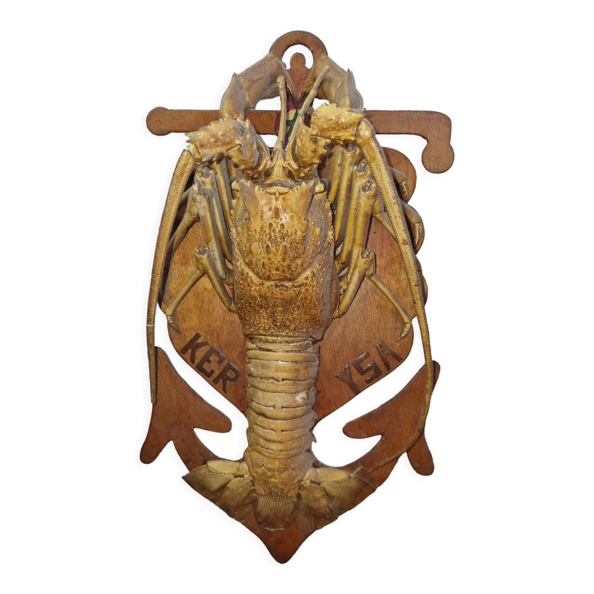 Naturalized lobster of the mid-twentieth century