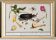 Small poster on insects and nature, based on an old engraving