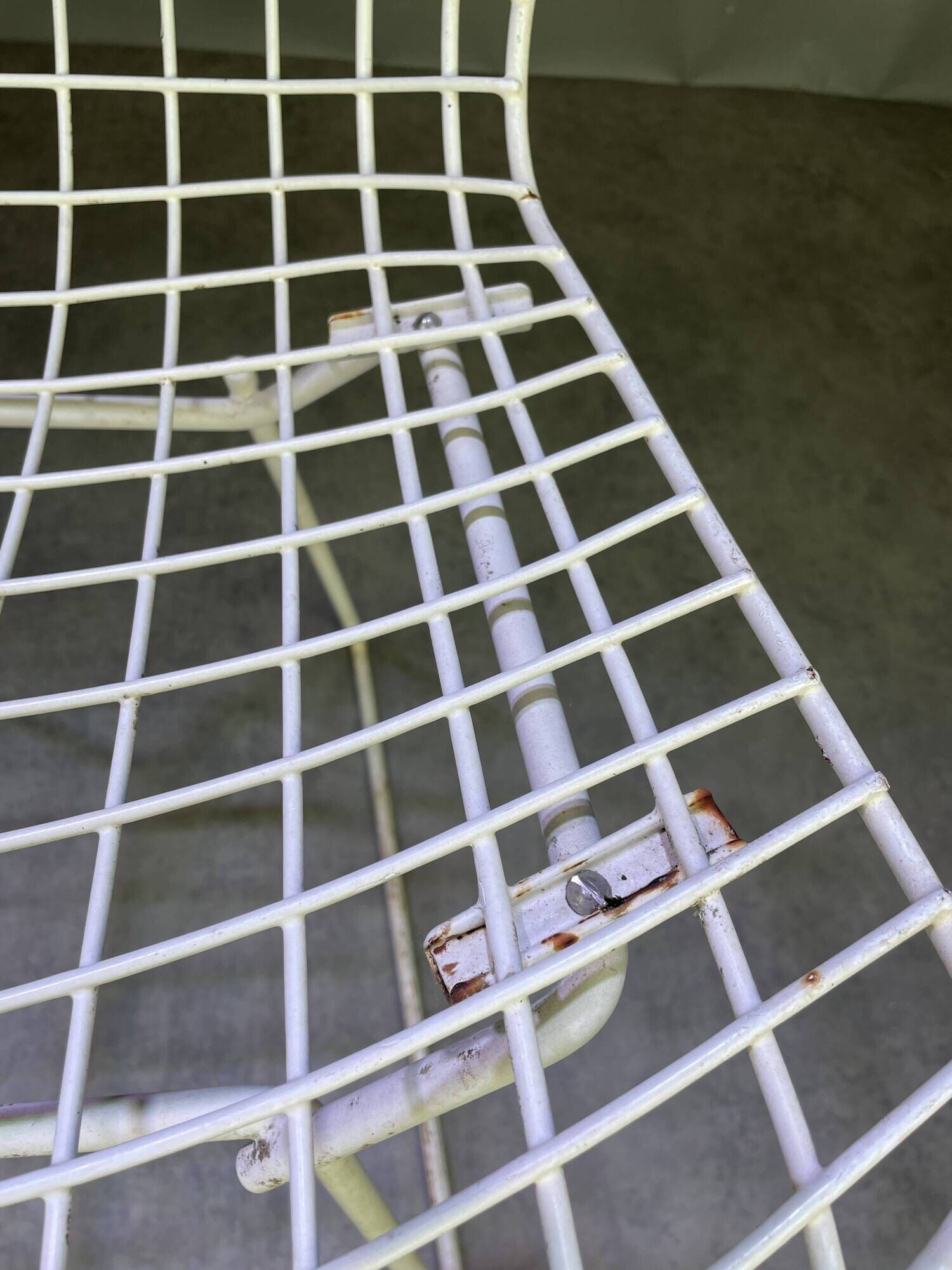 Pair of white lacquered Bertoia chairs