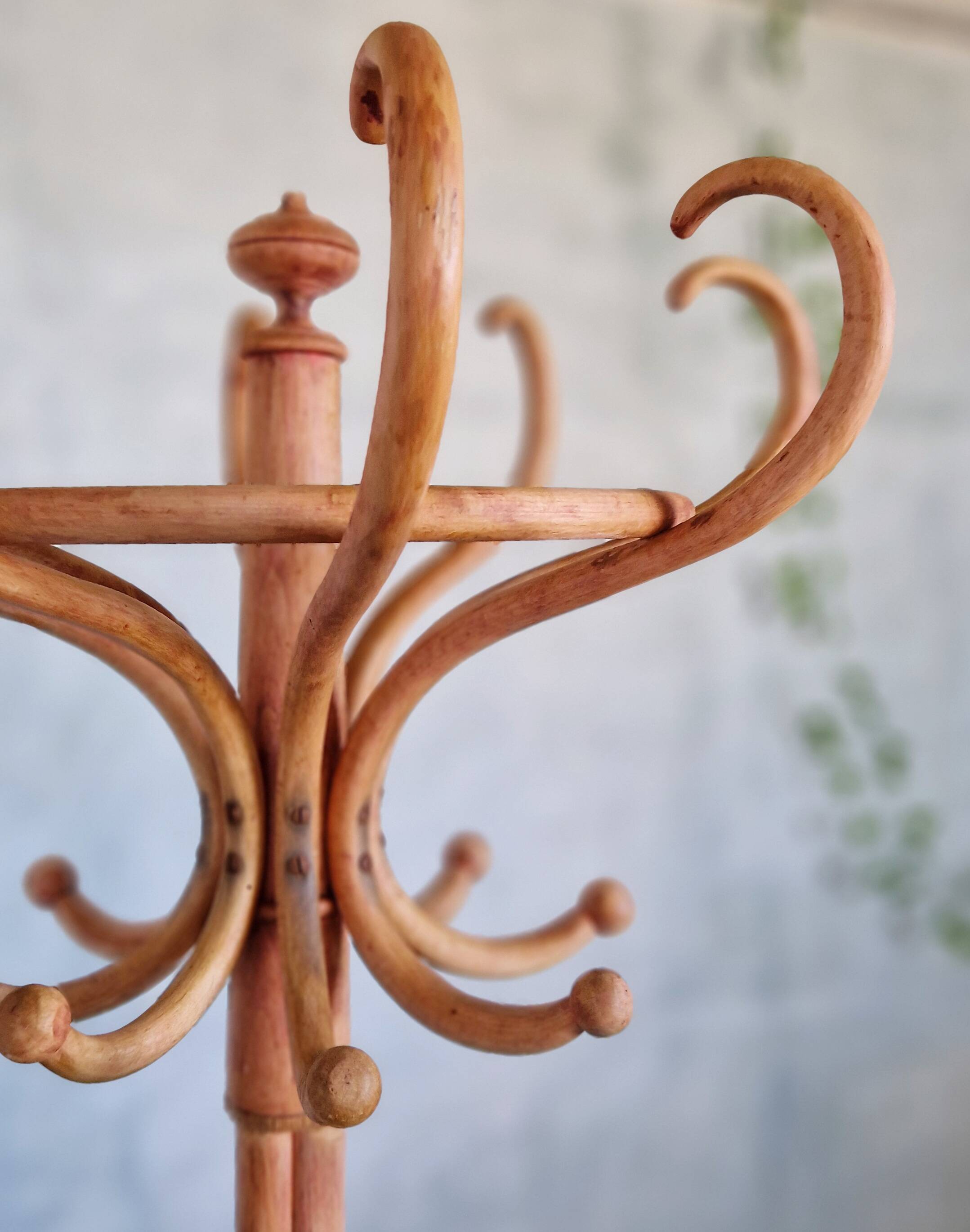 Beautiful Thonet parrot coat rack