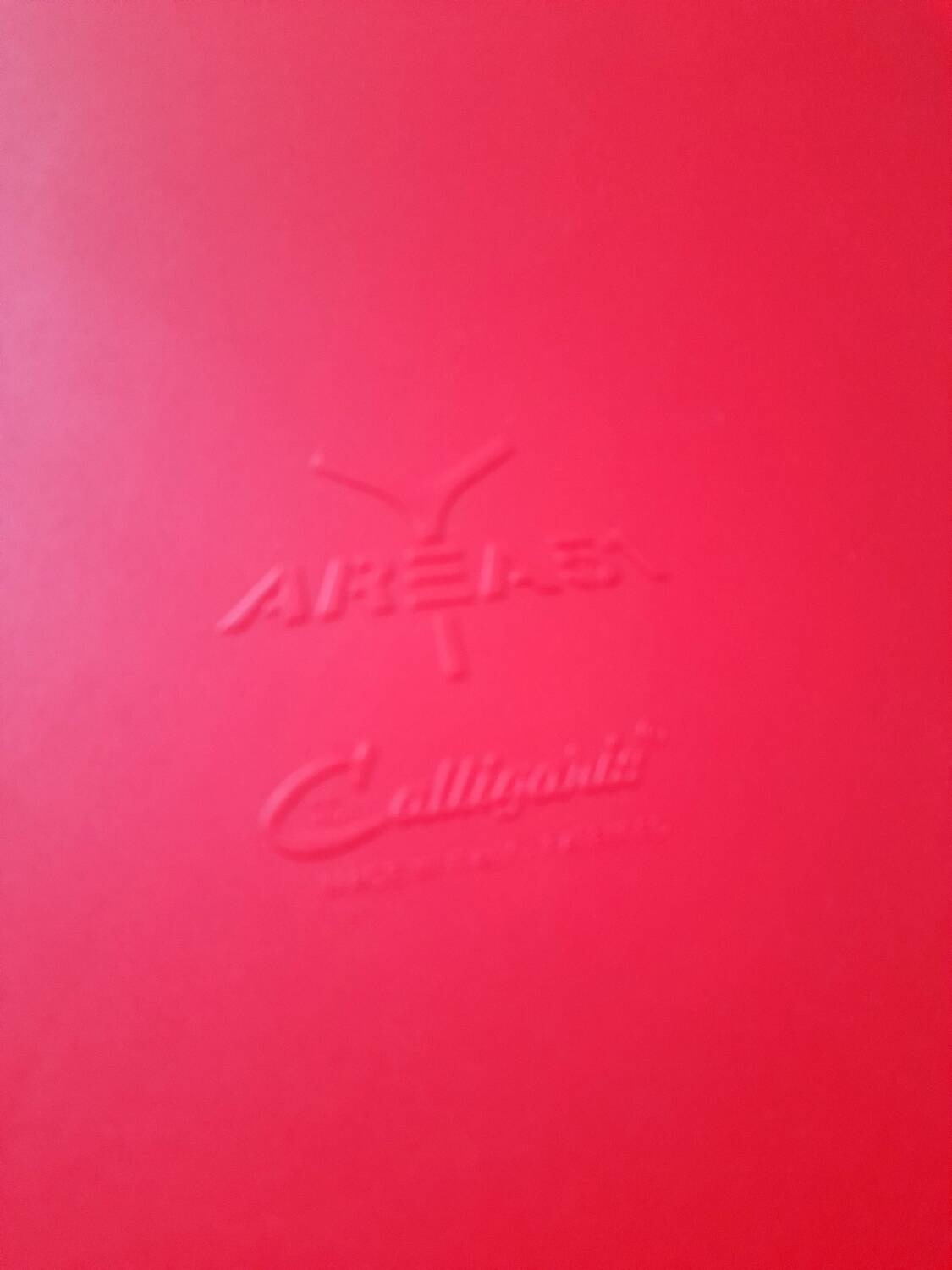 Paire de chaises Calligaris modèle Area 51