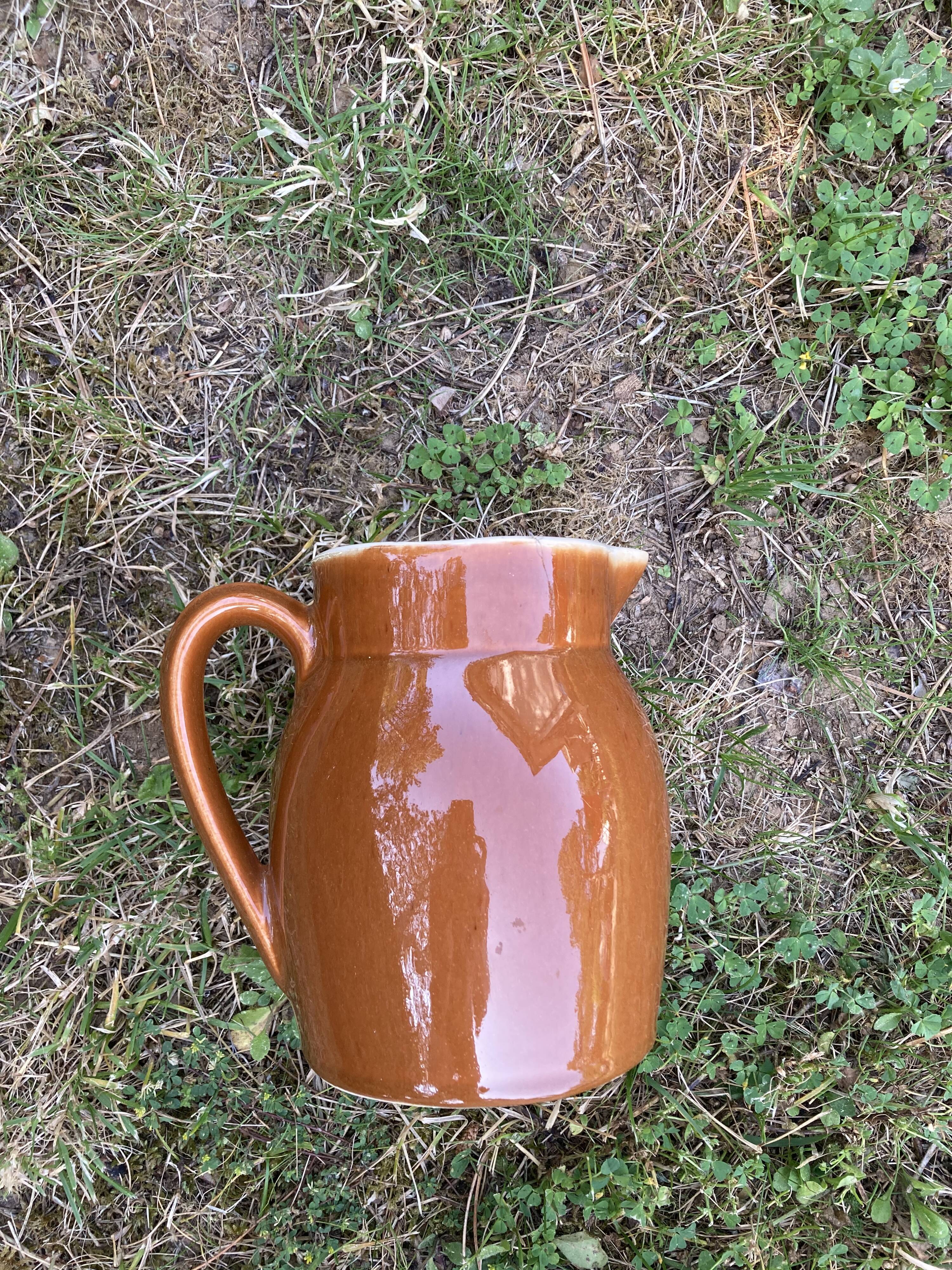Small pitcher with brown water