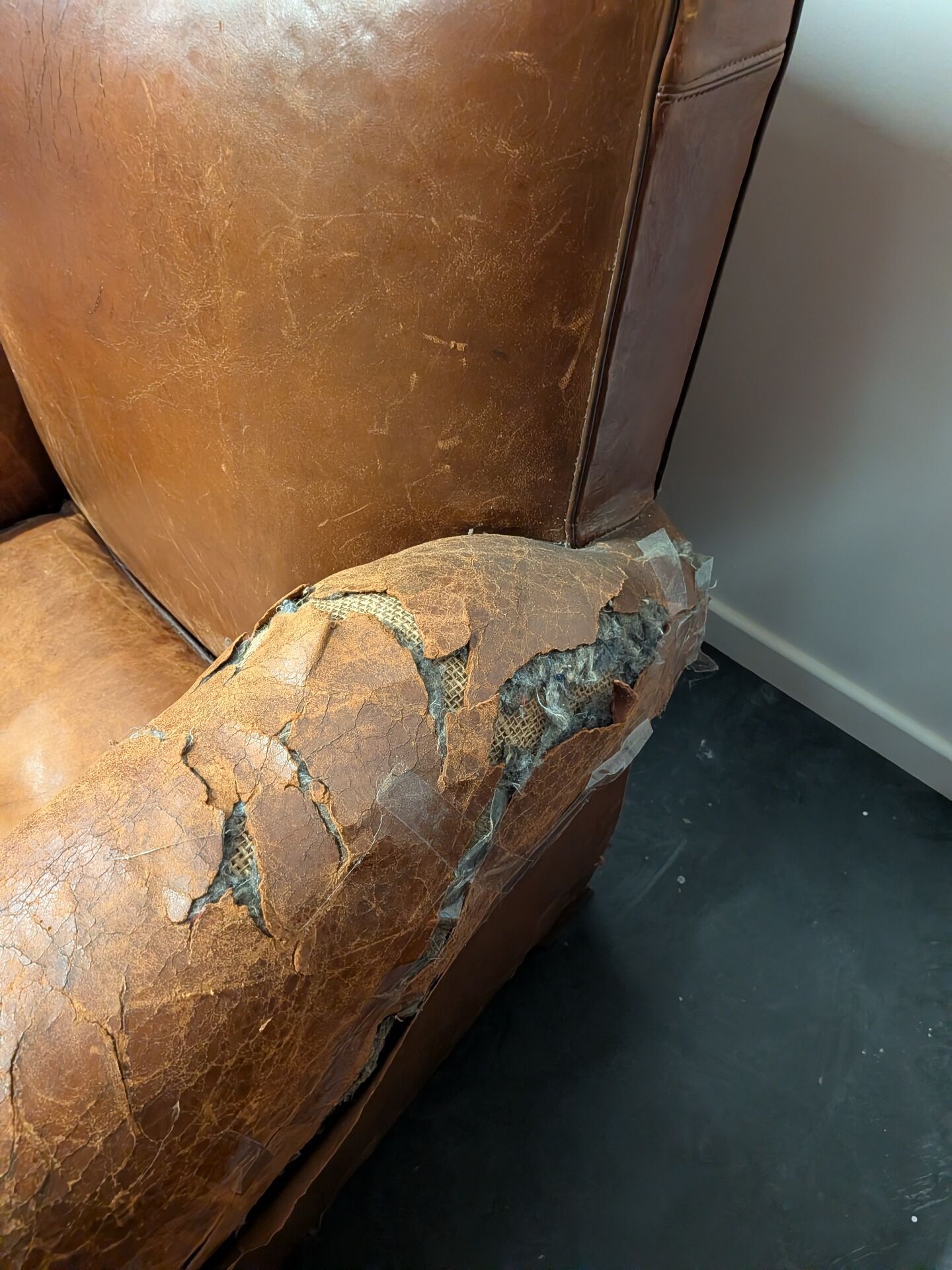 Pair of moustache club armchairs in leather, France, 1930s — to be restored.