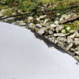Enamelled sheet metal suspensions