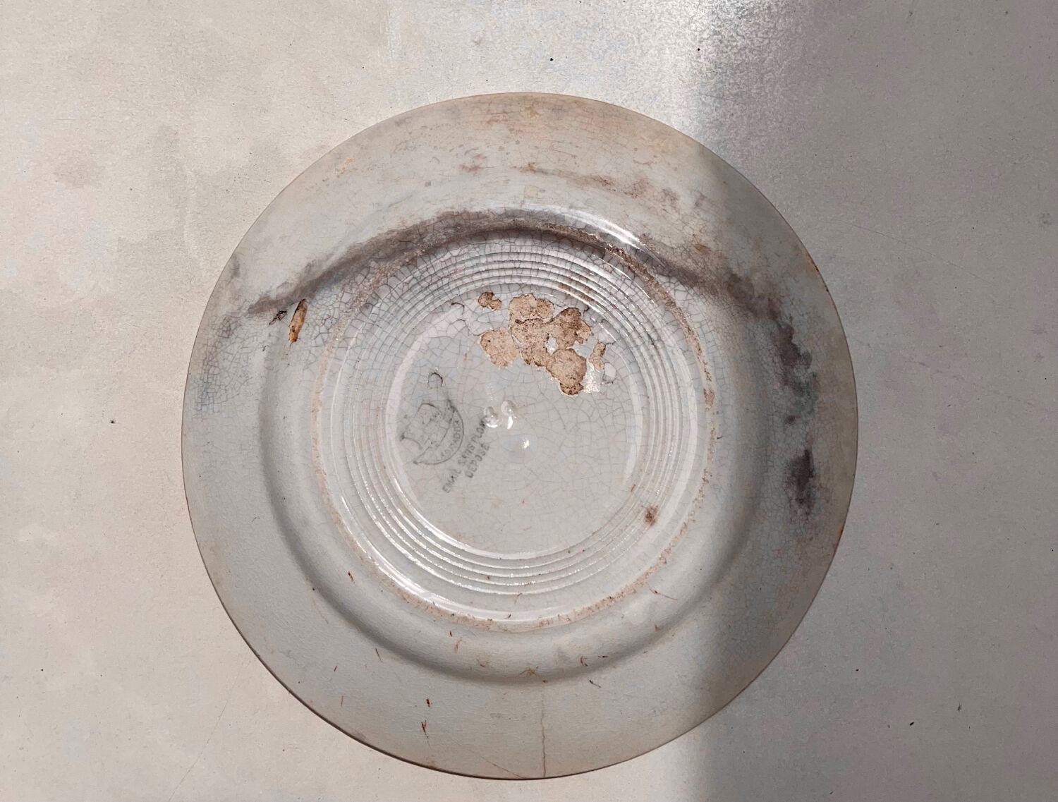 Old Creil and Montereau Labrador plate