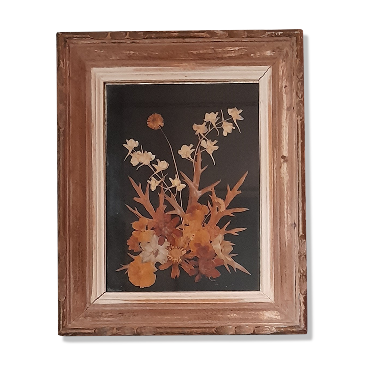 Wood frame dried flowers under glass, black background, vintage