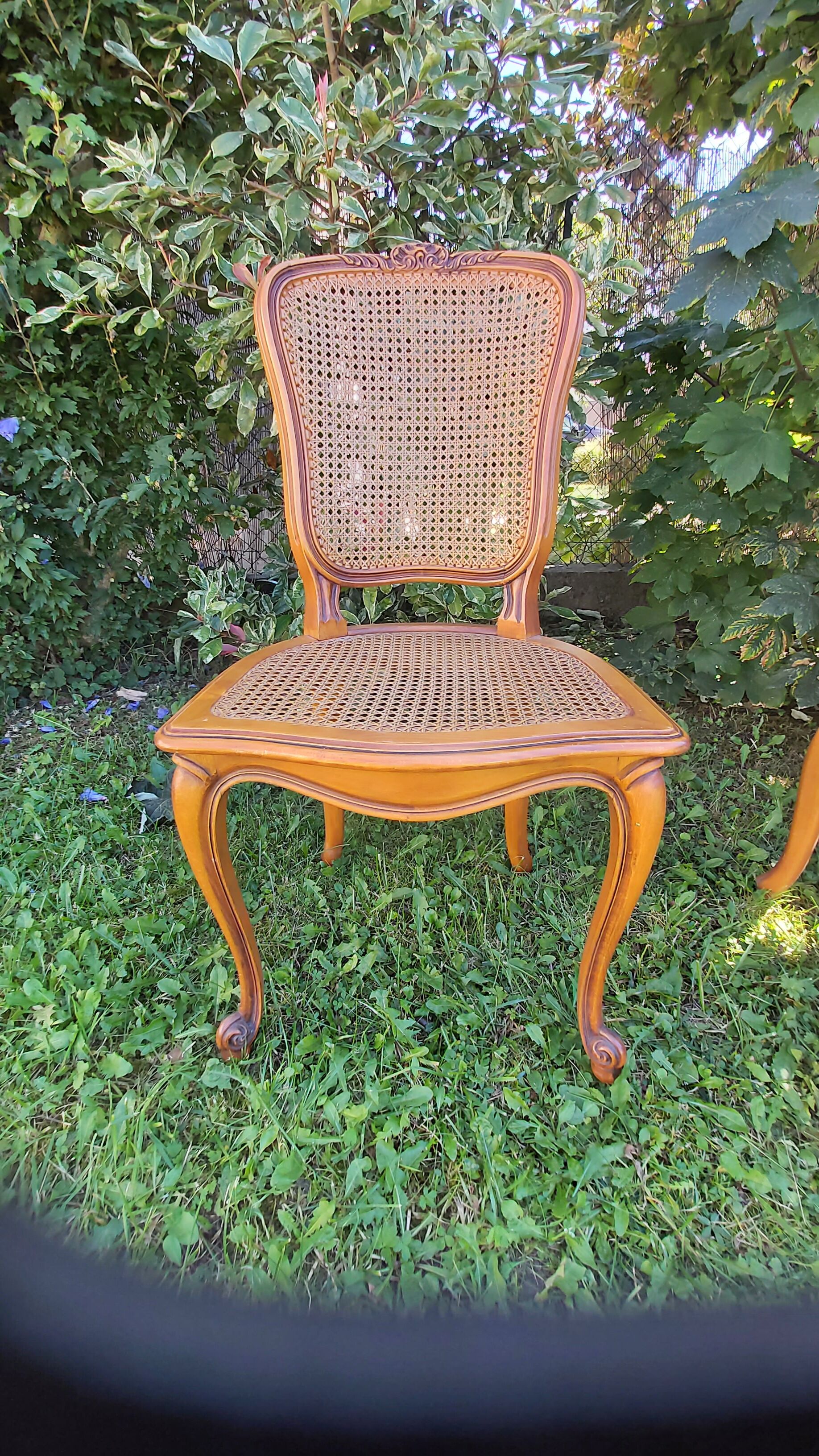 Set of three regency cane chairs