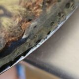 7 assiettes à huitres, vintage Vallauris Marius Giuge.