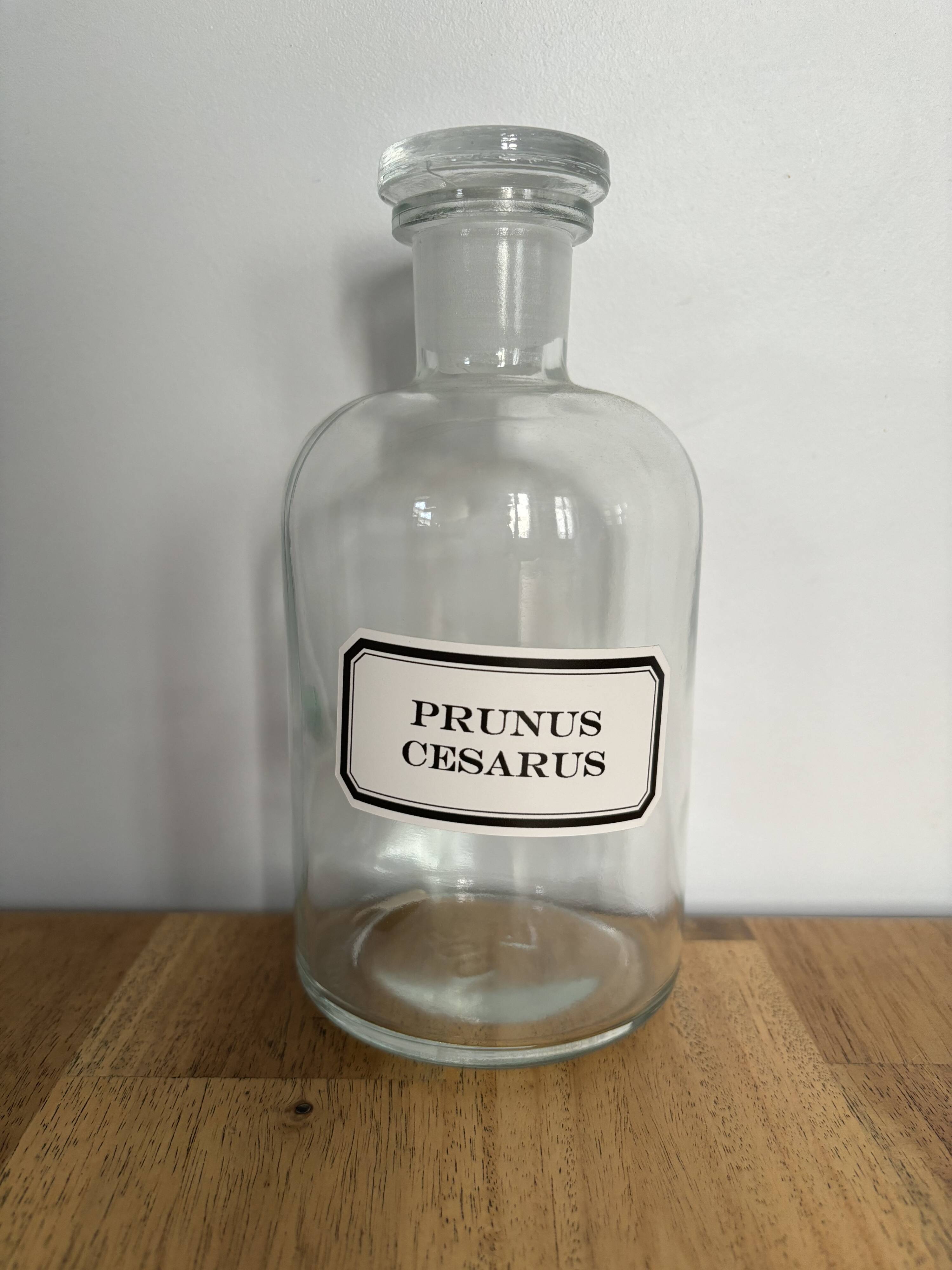 Apothecary bottles - vintage