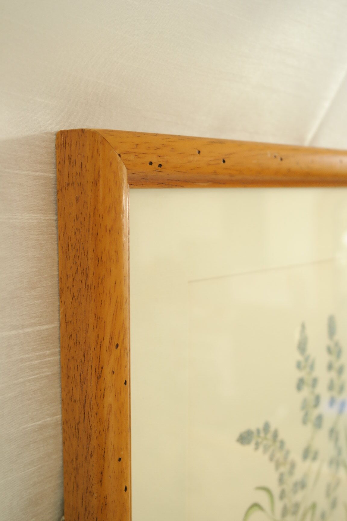 Tableau vintage aquarelle ducks of terronblan monbaly dayelle