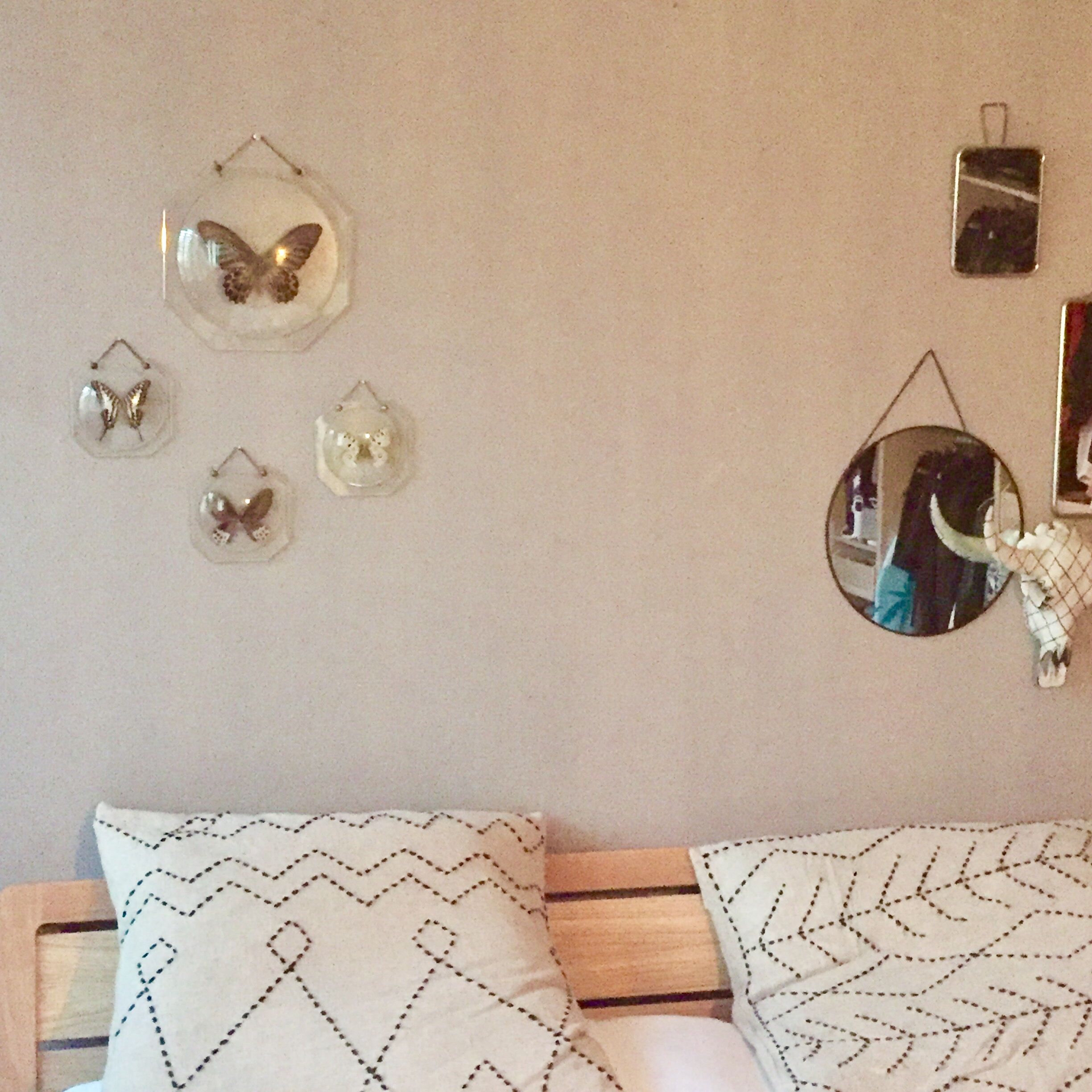 Papillons en cadres globes de verre