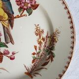 Pair of Luneville earthenware plates with bird decor