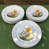 Set of 6 flat porcelain plates Winterling Bavaria