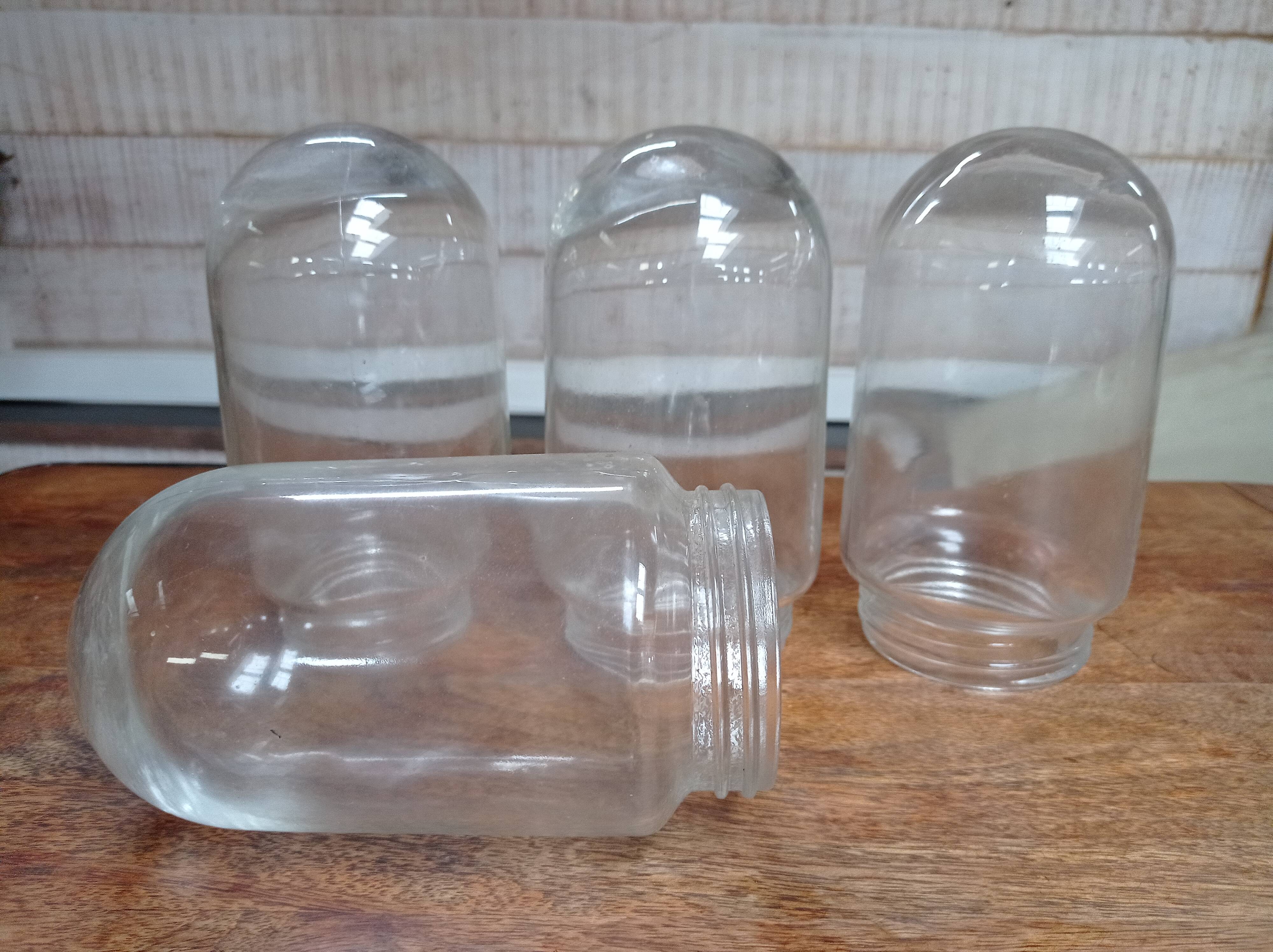 Set of 4 glass shell globes